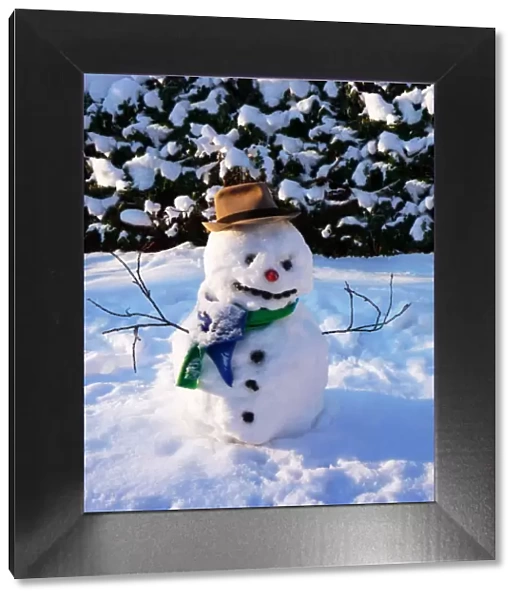 Snowman - with scarf & hat in winter scene Digital Manipulation: removed pots in background & added snow. added extra mouth coals
