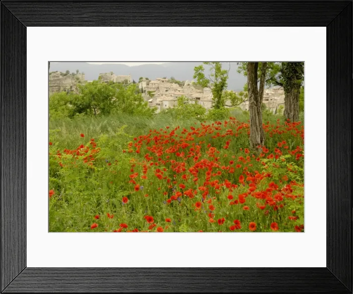 Framed Print : Poppy field - Luberon - Provence - France Framed Print : Poppy field - Luberon - Provence - France