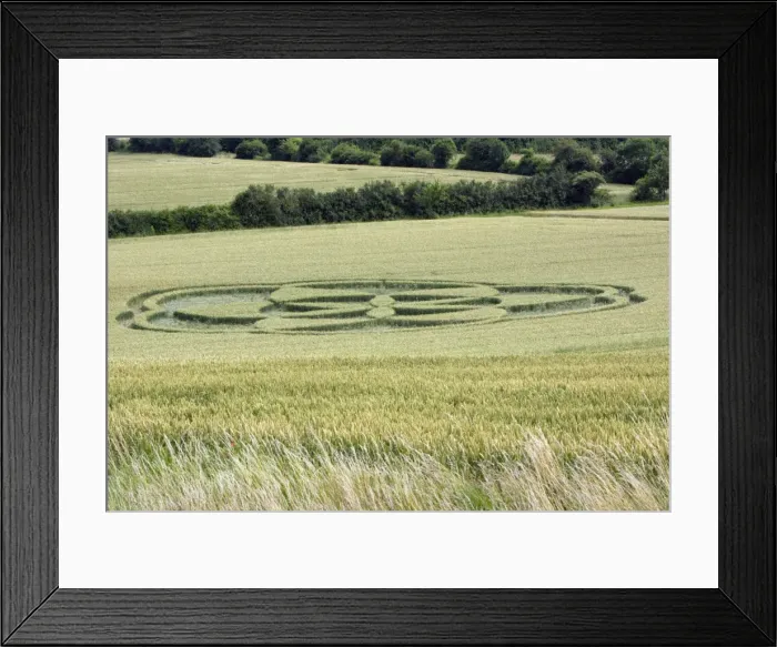 Framed Print : Crop Circle - in cornfield, Lower Saxony, Germany Framed Print : Crop Circle - in cornfield, Lower Saxony, Germany