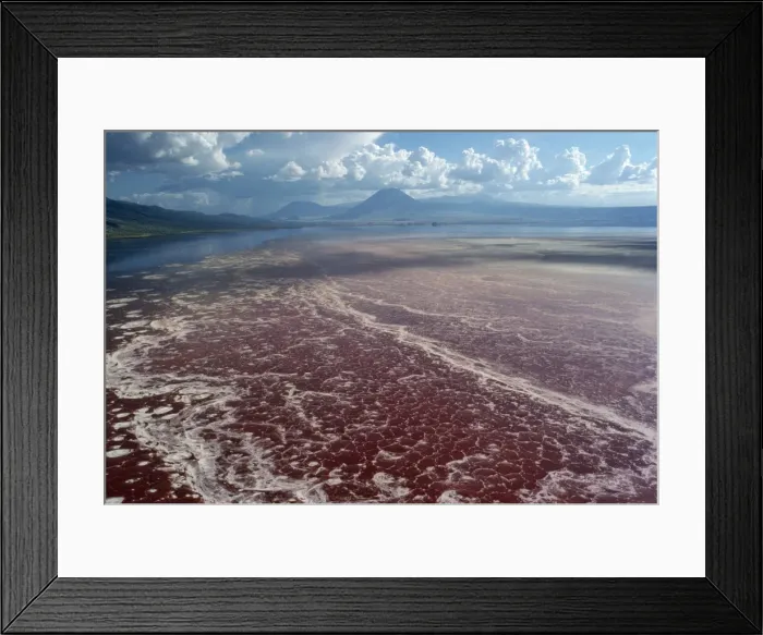 Framed Print : Africa Lake Natron, Tanzania, Africa Framed Print : Africa Lake Natron, Tanzania, Africa
