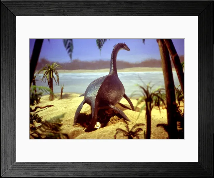 Framed Print : Prehistoric Reconstruction - Plesiosaur Laying eggs, C. Oxoniensis Late Jurassic Framed Print : Prehistoric Reconstruction - Plesiosaur Laying eggs, C. Oxoniensis Late Jurassic