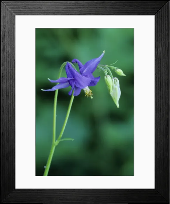 Framed Print : Dark Columbine French Alps Framed Print : Dark Columbine French Alps