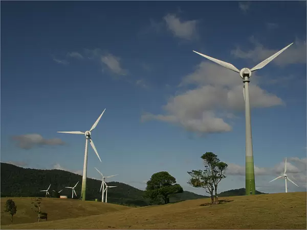 Wind Farm Near Atherton, Queensland, Australia