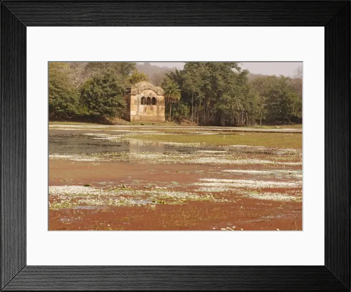 Framed Print : Rajbagh palace. Ranthambhore National Park, India