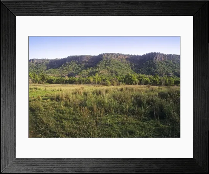 Framed Print : Chakradhara meadows, Bandhavgarh National Park, India Framed Print : Chakradhara meadows, Bandhavgarh National Park, India
