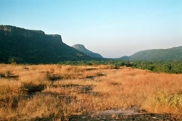 India Bandhavgarh National Park Madhya Pradesh