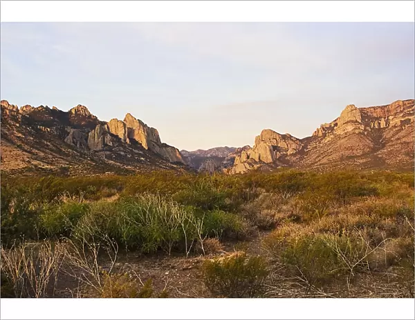 USA - View looking toward Cave Creek Canyon and the Chiricahua Mountains in Portal AZ at sunrise in July