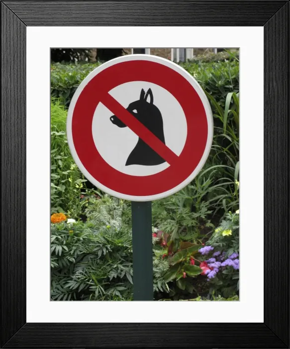 Framed Print : Sign - No dogs allowed Framed Print : Sign - No dogs allowed