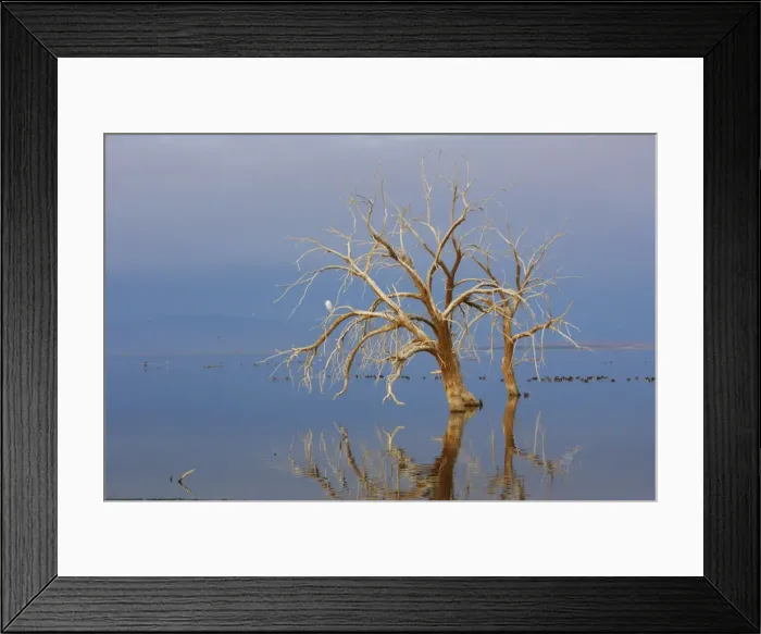 Framed Print : Salton Sea Southern California, USA Framed Print : Salton Sea Southern California, USA