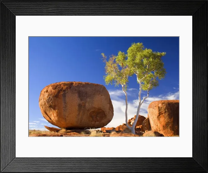 Framed Print : Devils Marbles - a Ghost Gum and a nearly perfectly circular shaped boulder of red granite is balanced on bedrock - Devils Marbles Conservation Area, Northern Territory, Australia Framed Print : Devils Marbles - a Ghost Gum and a nearly perfectly circular shaped boulder of red granite is balanced on bedrock - Devils Marbles Conservation Area, Northern Territory, Australia