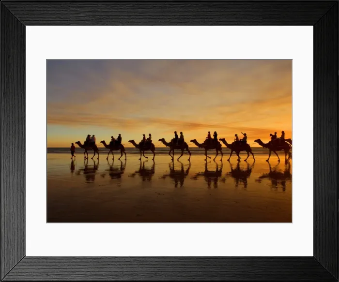 Framed Print : Camel safari - famous camel safari on Broom's Cable Beach at sunset with camels reflecting on wet beach - Cable Beach, Broome, Western Australia, Australia Framed Print : Camel safari - famous camel safari on Broom's Cable Beach at sunset with camels reflecting on wet beach - Cable Beach, Broome, Western Australia, Australia