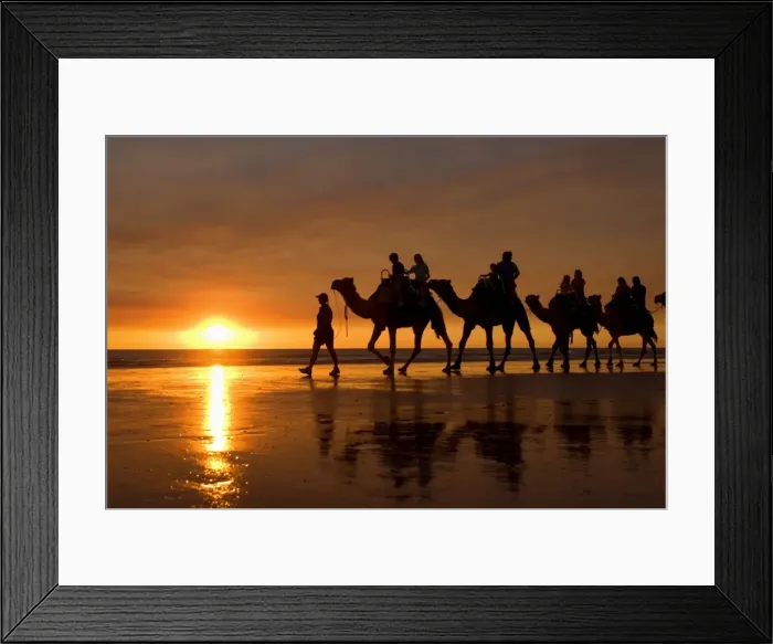 Framed Print : Camel safari - famous camel safari on Broom's Cable Beach at sunset with camels reflecting on wet beach - Cable Beach, Broome, Western Australia, Australia Framed Print : Camel safari - famous camel safari on Broom's Cable Beach at sunset with camels reflecting on wet beach - Cable Beach, Broome, Western Australia, Australia