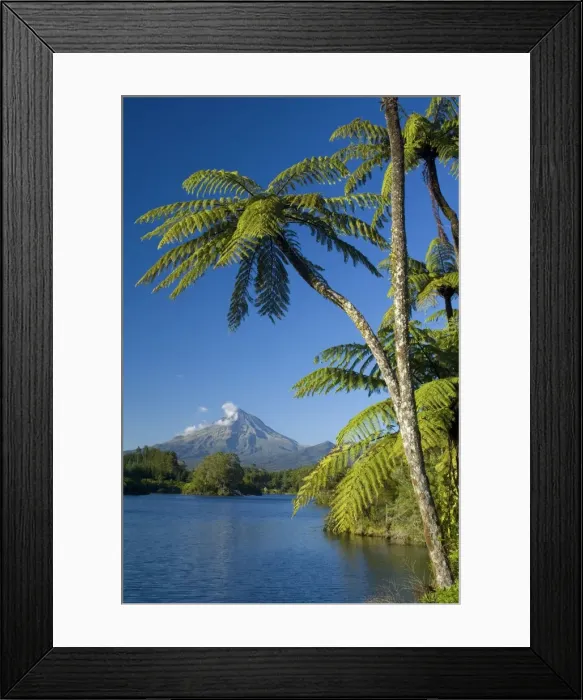 Framed Print : Mount Egmont lake, tree ferns and perfectly cone-shaped volcanoe Mt Egmont also called Mt Taranaki Taranaki, North Island, New Zealand Framed Print : Mount Egmont lake, tree ferns and perfectly cone-shaped volcanoe Mt Egmont also called Mt Taranaki Taranaki, North Island, New Zealand