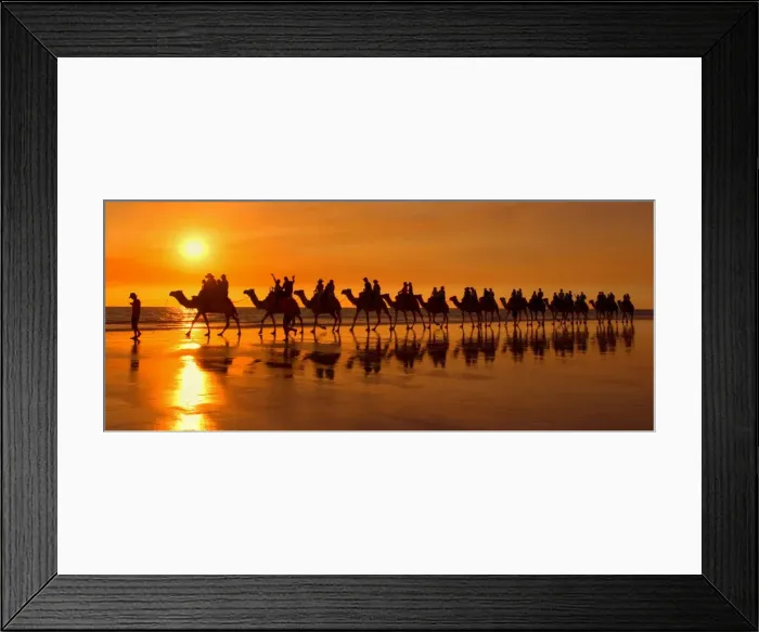 Framed Print : Camel safari - famous camel safari on Broom's Cable Beach at sunset with camels reflecting on wet beach - Cable Beach, Broome, Western Australia, Australia Framed Print : Camel safari - famous camel safari on Broom's Cable Beach at sunset with camels reflecting on wet beach - Cable Beach, Broome, Western Australia, Australia