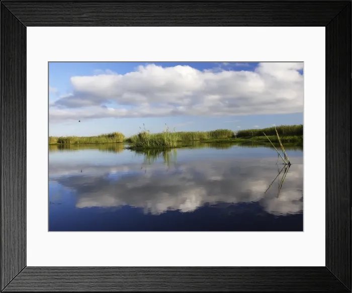 Framed Print : Bangweuleu marshes - Zambia Framed Print : Bangweuleu marshes - Zambia
