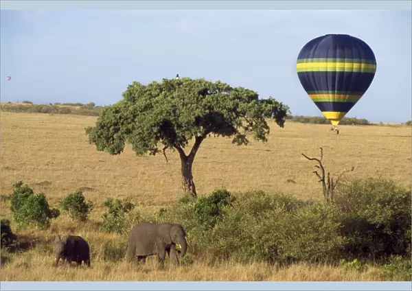 Balloon Safari Masai Mara, Kenya, Africa