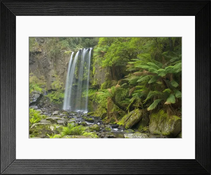 Framed Print : Hopetoun Falls - beautiful and picturesque waterfall creating a shallow river amidst lush temperate rainforest with a lot of treefern growing along the river's banks - Otways Range, Victoria, Australia Framed Print : Hopetoun Falls - beautiful and picturesque waterfall creating a shallow river amidst lush temperate rainforest with a lot of treefern growing along the river's banks - Otways Range, Victoria, Australia