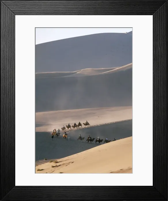 Framed Print : Desert Batrian Camels, Gobi Desert, China Framed Print : Desert Batrian Camels, Gobi Desert, China
