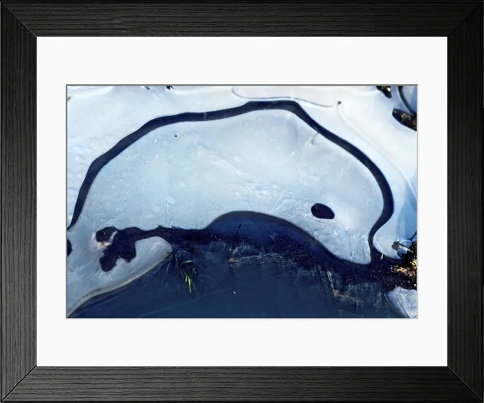 Framed Print : Ice Dolphin - A frozen waterlogged field creates images of nature. Oxfordshire, England Framed Print : Ice Dolphin - A frozen waterlogged field creates images of nature. Oxfordshire, England