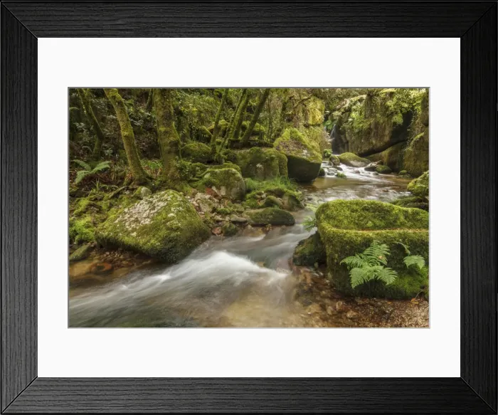 Framed Print : Picture No. 11981416 Framed Print : Picture No. 11981416