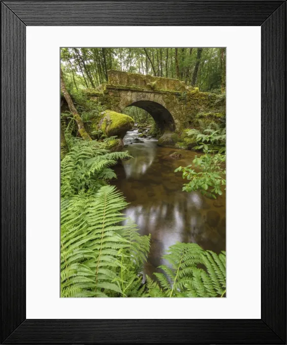 Framed Print : Picture No. 11981439