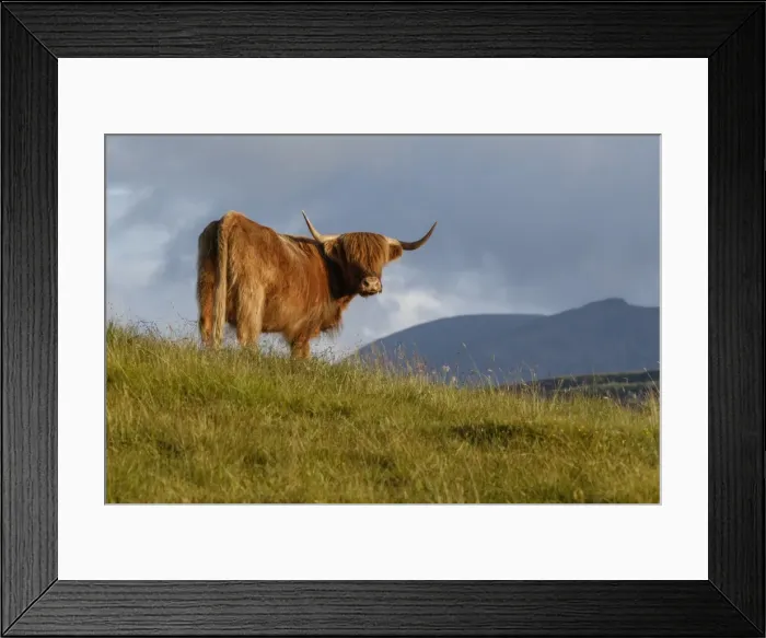 Framed Print : Picture No. 11981441 Framed Print : Picture No. 11981441