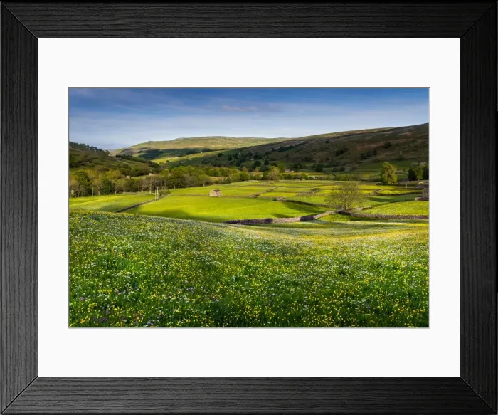 Framed Print : Picture No. 11981446