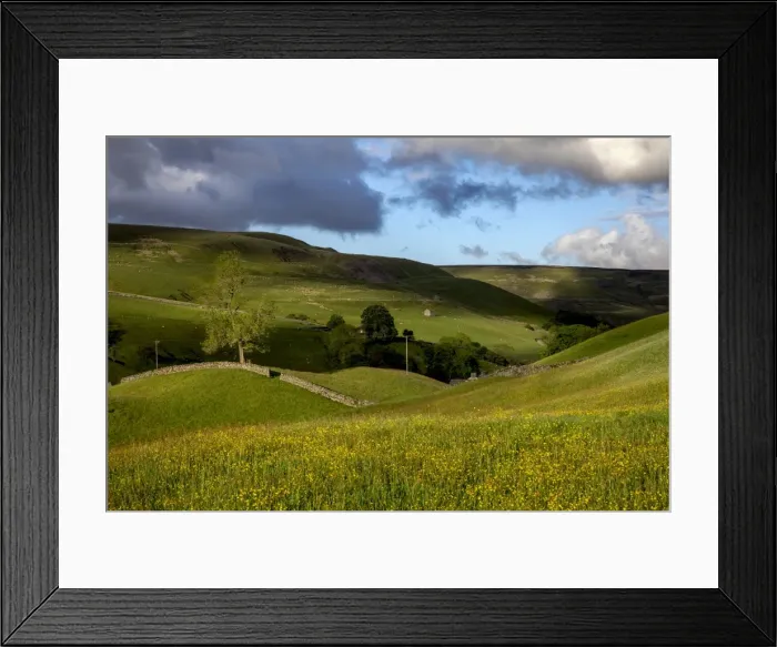 Framed Print : Picture No. 11981463 Framed Print : Picture No. 11981463