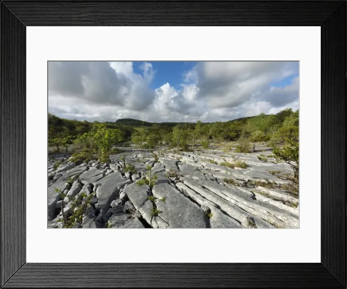 Framed Print : Picture No. 11981465 Framed Print : Picture No. 11981465