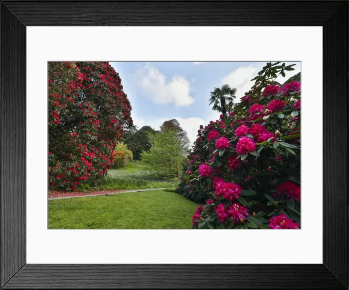 Framed Print : Picture No. 11981466 Framed Print : Picture No. 11981466