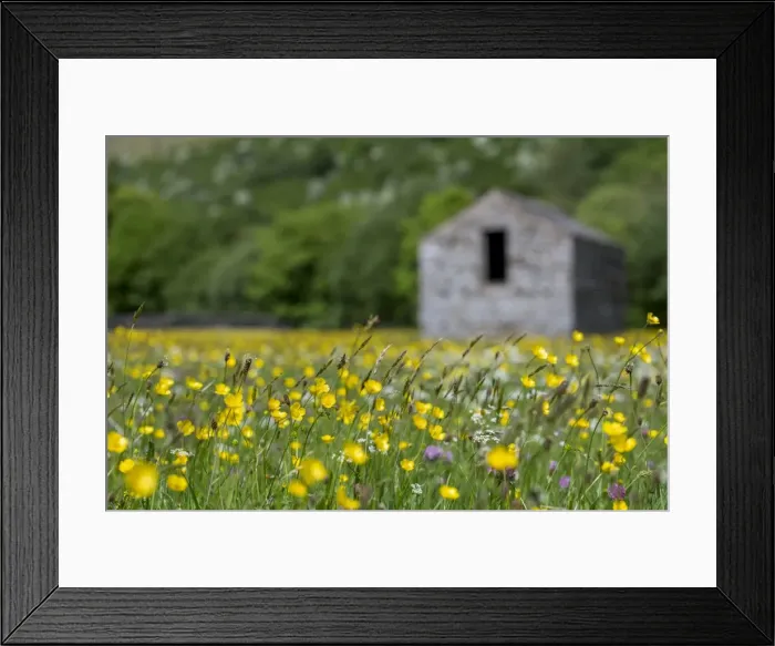 Framed Print : Picture No. 11981475 Framed Print : Picture No. 11981475
