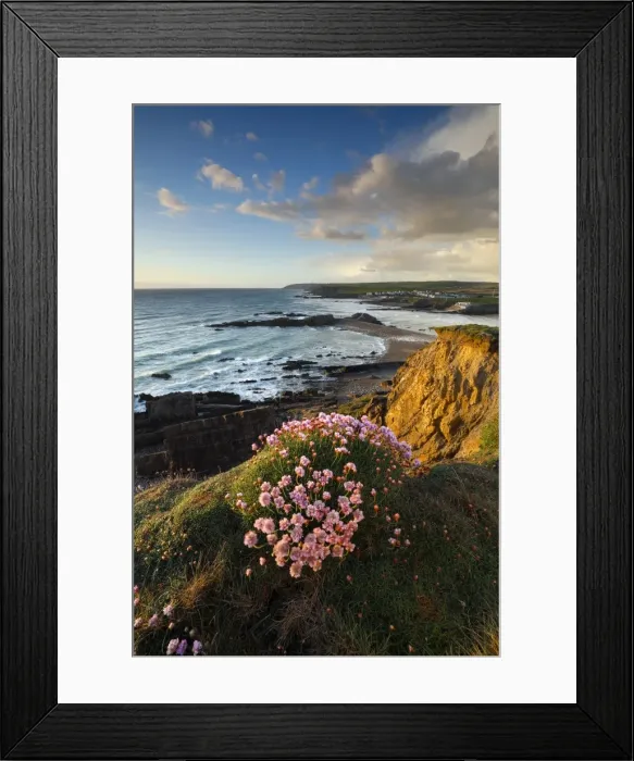 Framed Print : Picture No. 11981479 Framed Print : Picture No. 11981479