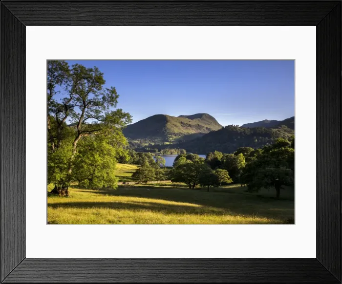 Framed Print : Picture No. 11981480