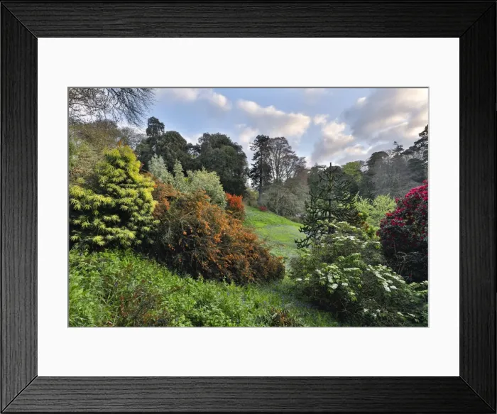Framed Print : Picture No. 11981486