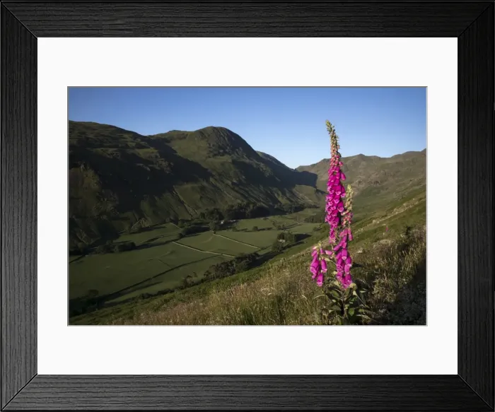Framed Print : Picture No. 11981495 Framed Print : Picture No. 11981495