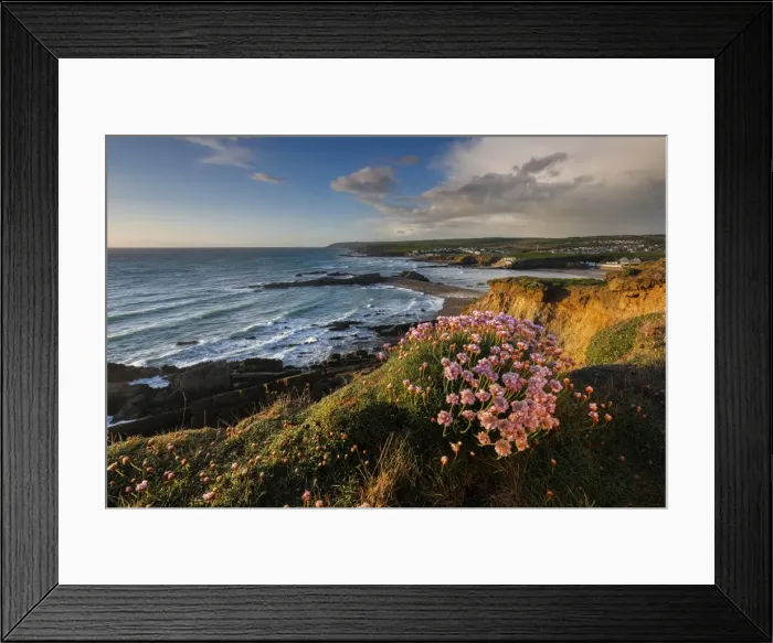 Framed Print : Picture No. 11981505