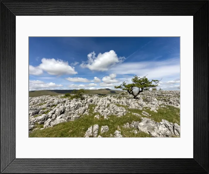 Framed Print : Picture No. 11981507 Framed Print : Picture No. 11981507