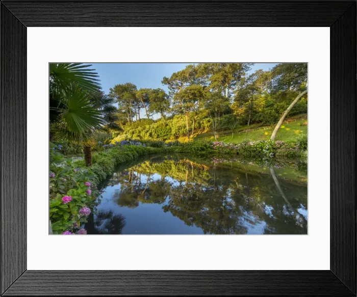 Framed Print : Picture No. 11981509 Framed Print : Picture No. 11981509