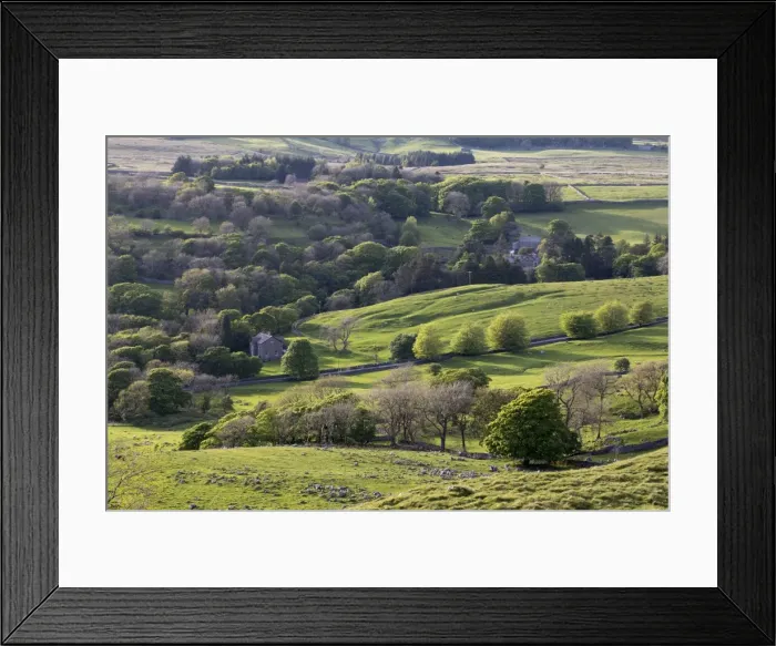 Framed Print : Picture No. 11981520 Framed Print : Picture No. 11981520