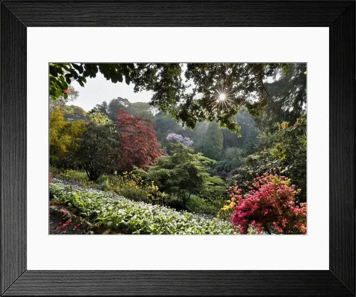 Framed Print : Picture No. 11981523