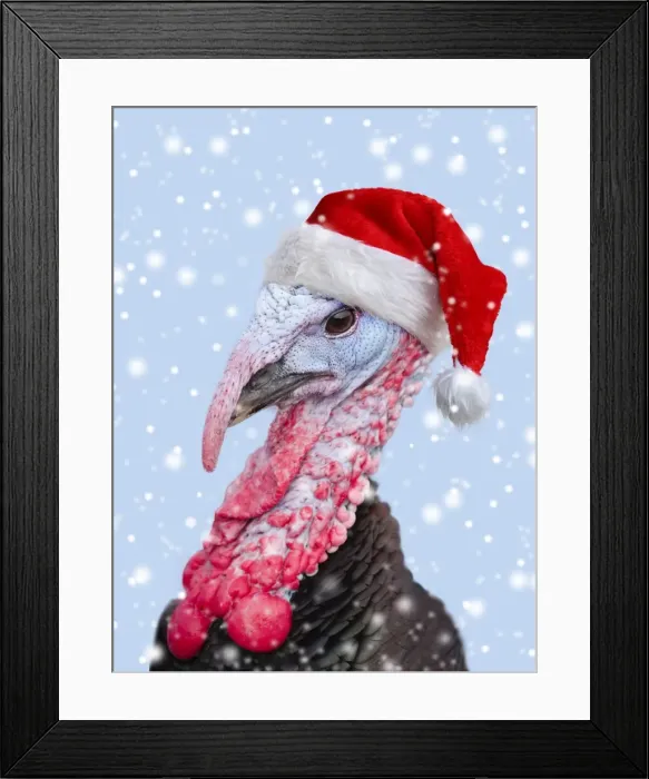 Framed Print : Picture No. 11982389 Framed Print : Picture No. 11982389