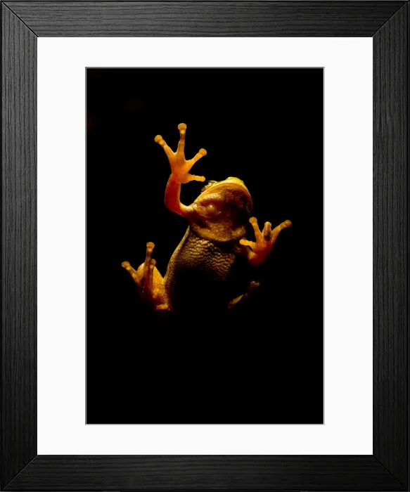 Framed Print : Picture No. 11980533 Framed Print : Picture No. 11980533