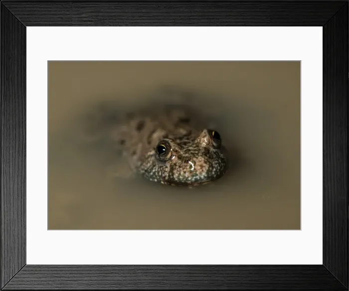 Framed Print : Picture No. 11980534 Framed Print : Picture No. 11980534