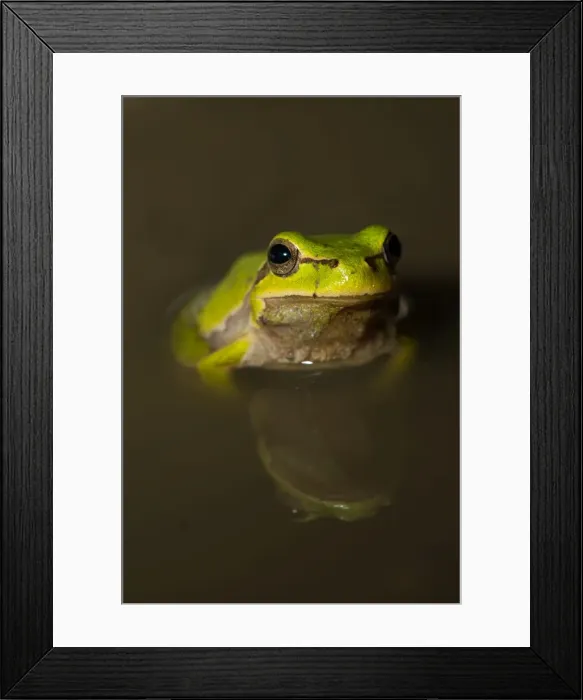 Framed Print : Picture No. 11980535 Framed Print : Picture No. 11980535