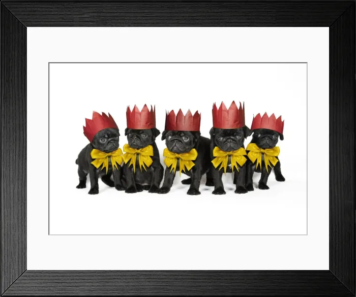 Framed Print : Picture No. 11982319