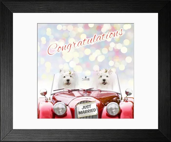 Framed Print : Picture No. 11982320