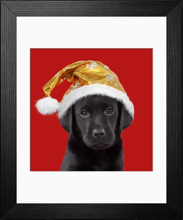 Framed Print : Picture No. 11982323 Framed Print : Picture No. 11982323