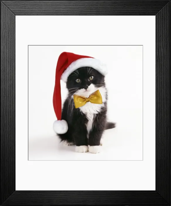 Framed Print : Picture No. 11982325 Framed Print : Picture No. 11982325