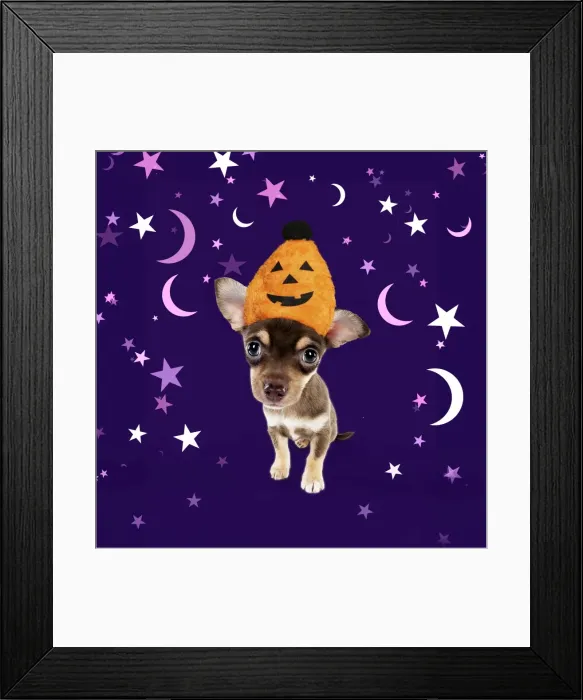 Framed Print : Picture No. 11982326