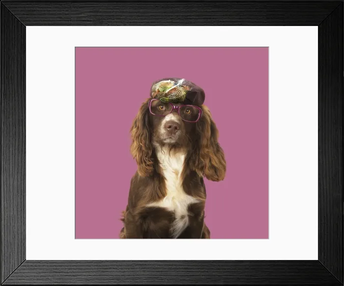 Framed Print : Picture No. 11982328